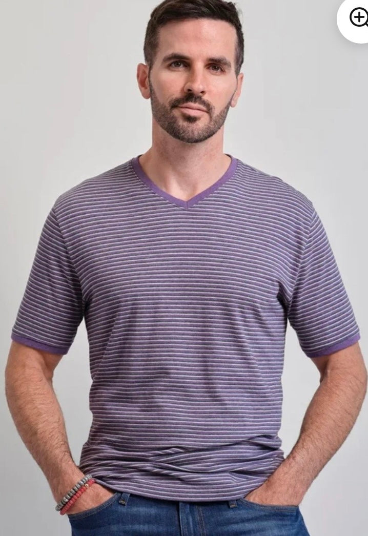 Left coast tee T shirt striped V neck purple
